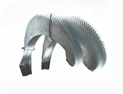 ��������ҶƬ